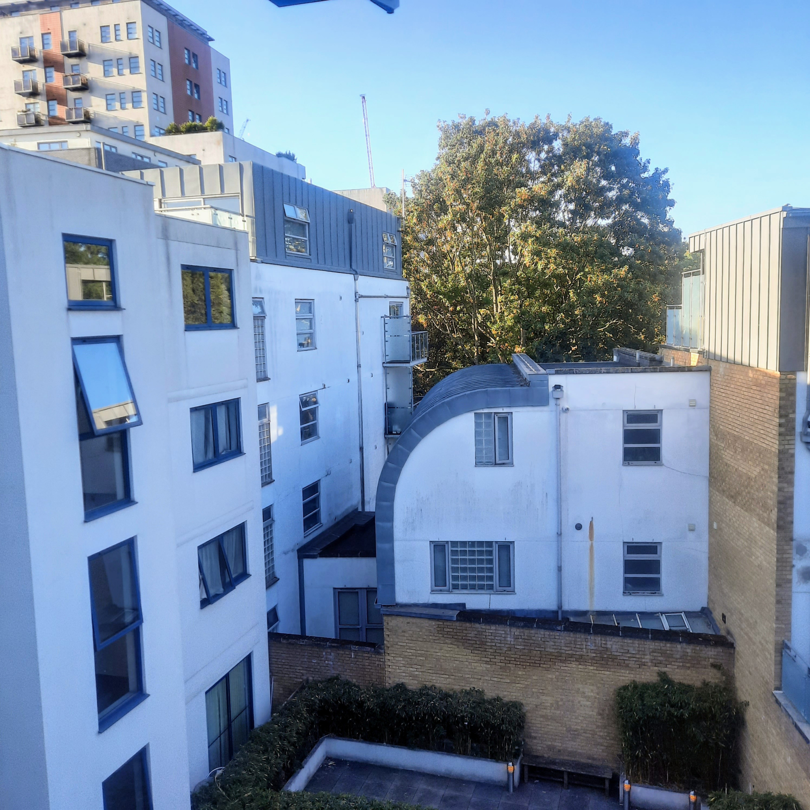 O pátio e um vislumbre do vizinho Rosemary Gardens, um parque público