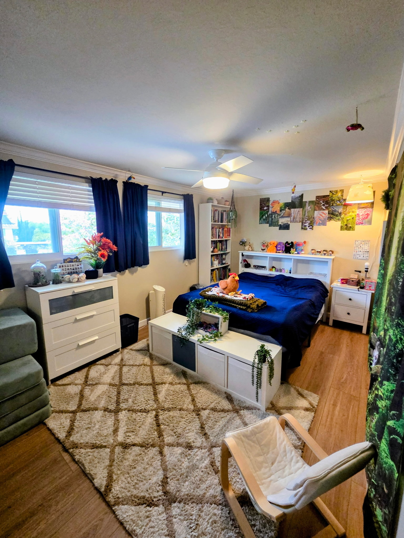 Queen Bed