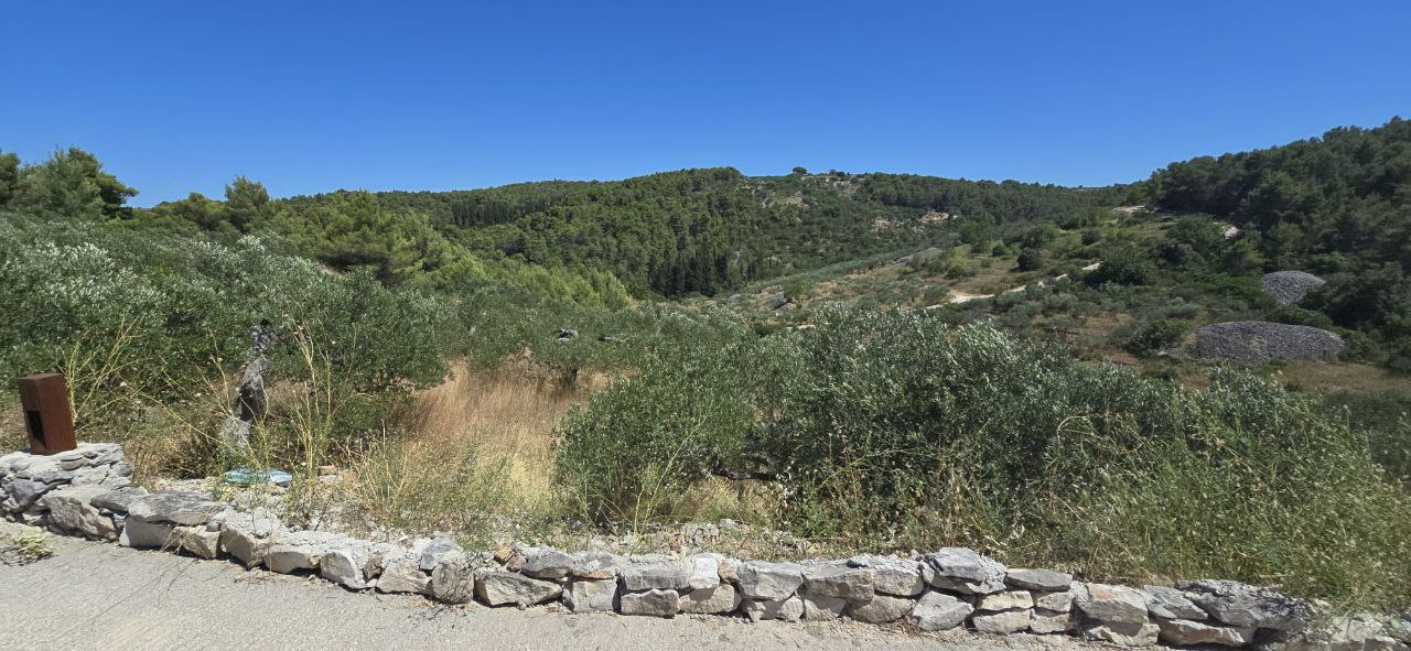 View from the house entrance to the neighbour's olive grove