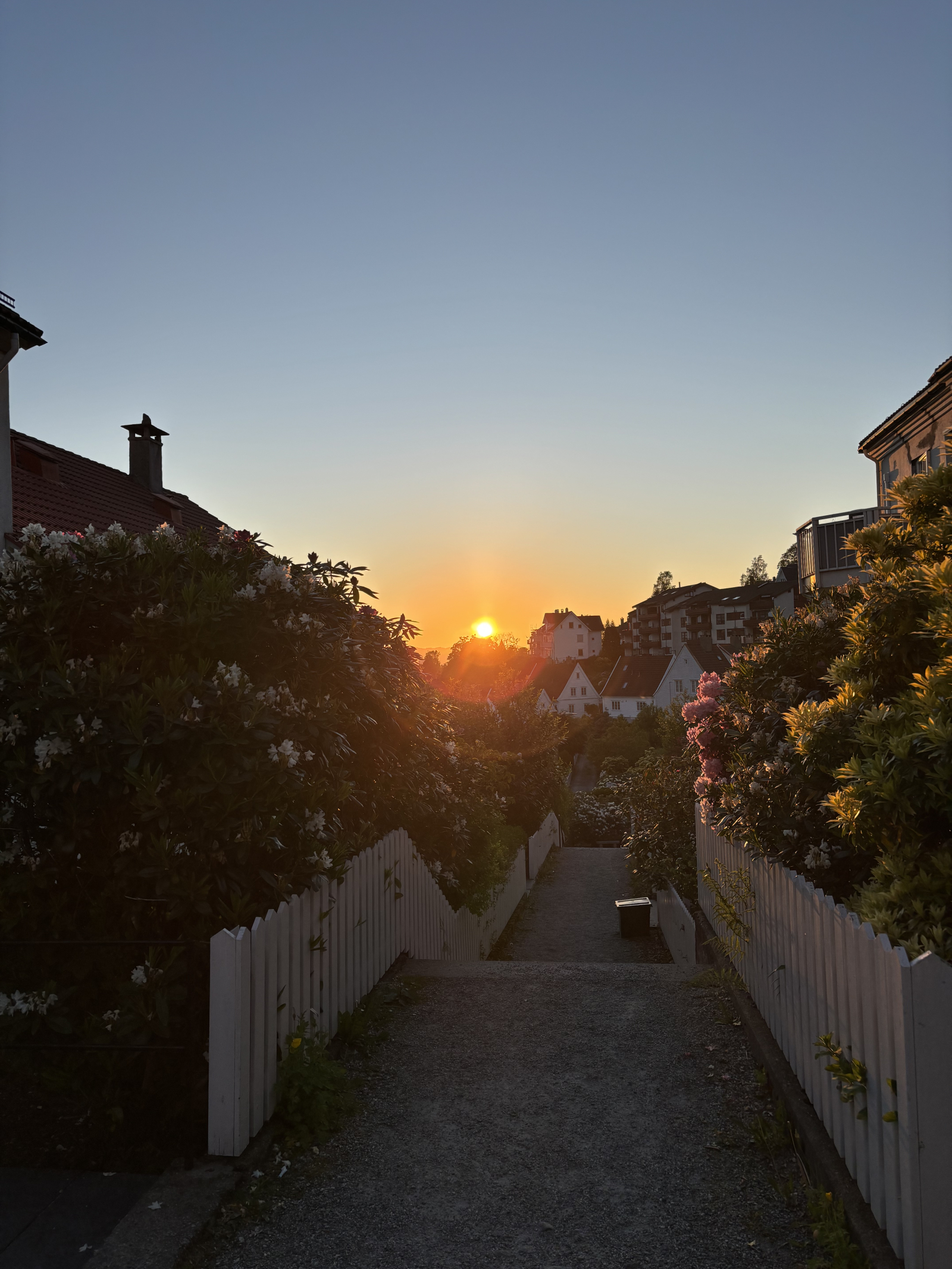 My street - entrance to our building to the left