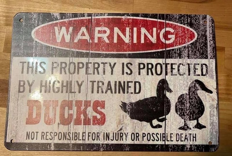 Rustig en vredig huis op het platteland van de Ozarks.
