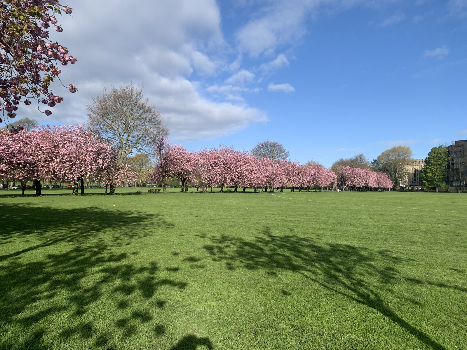 I prati in primavera: 2 minuti di cammino