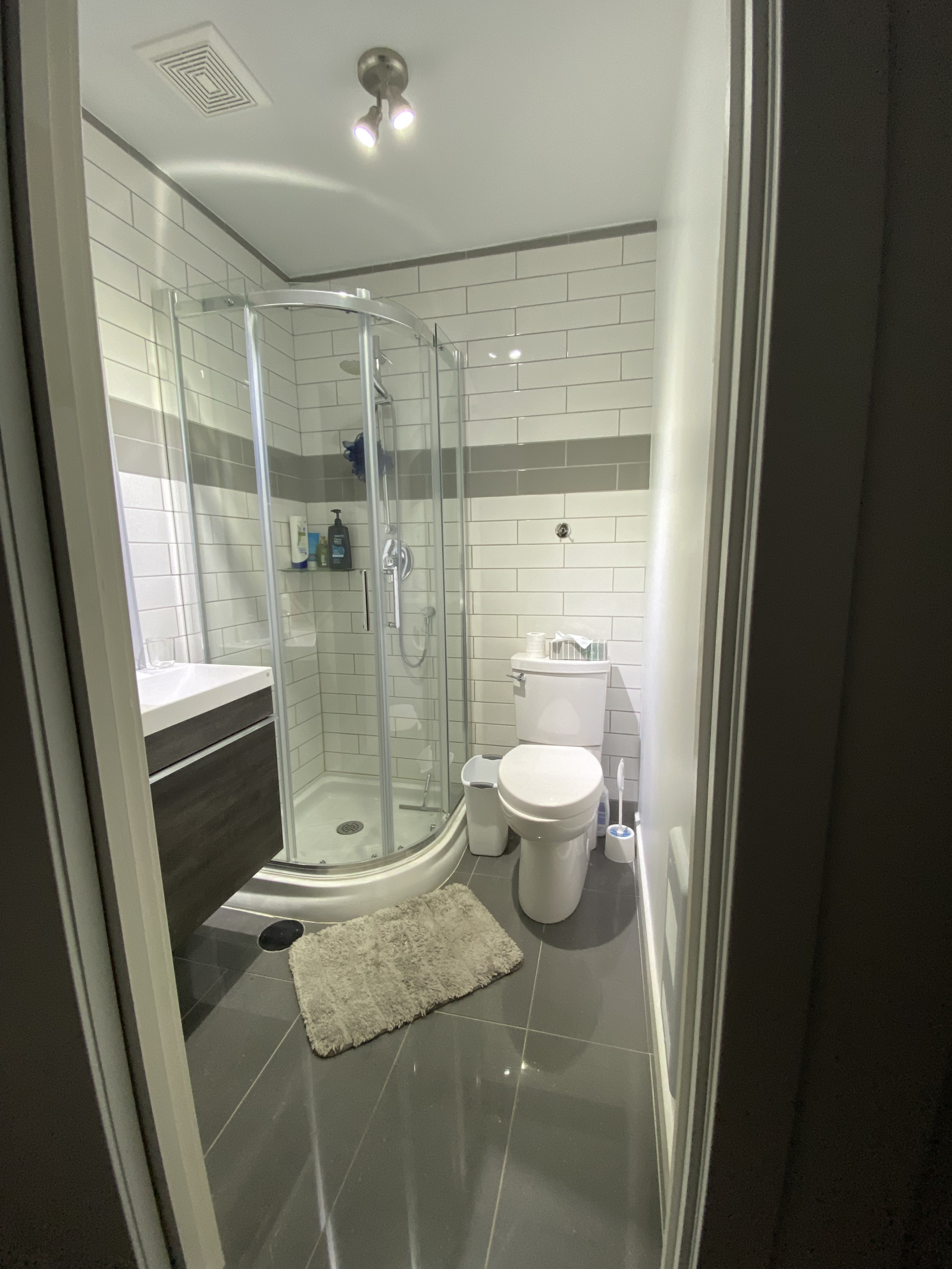 Bathroom in the basement