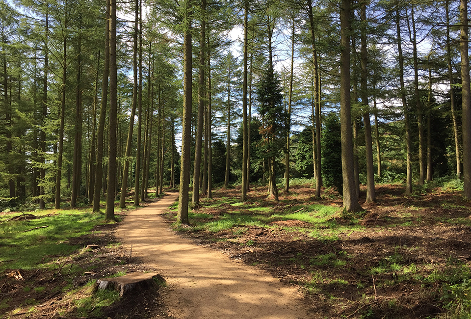 Osmotherley Reservoir