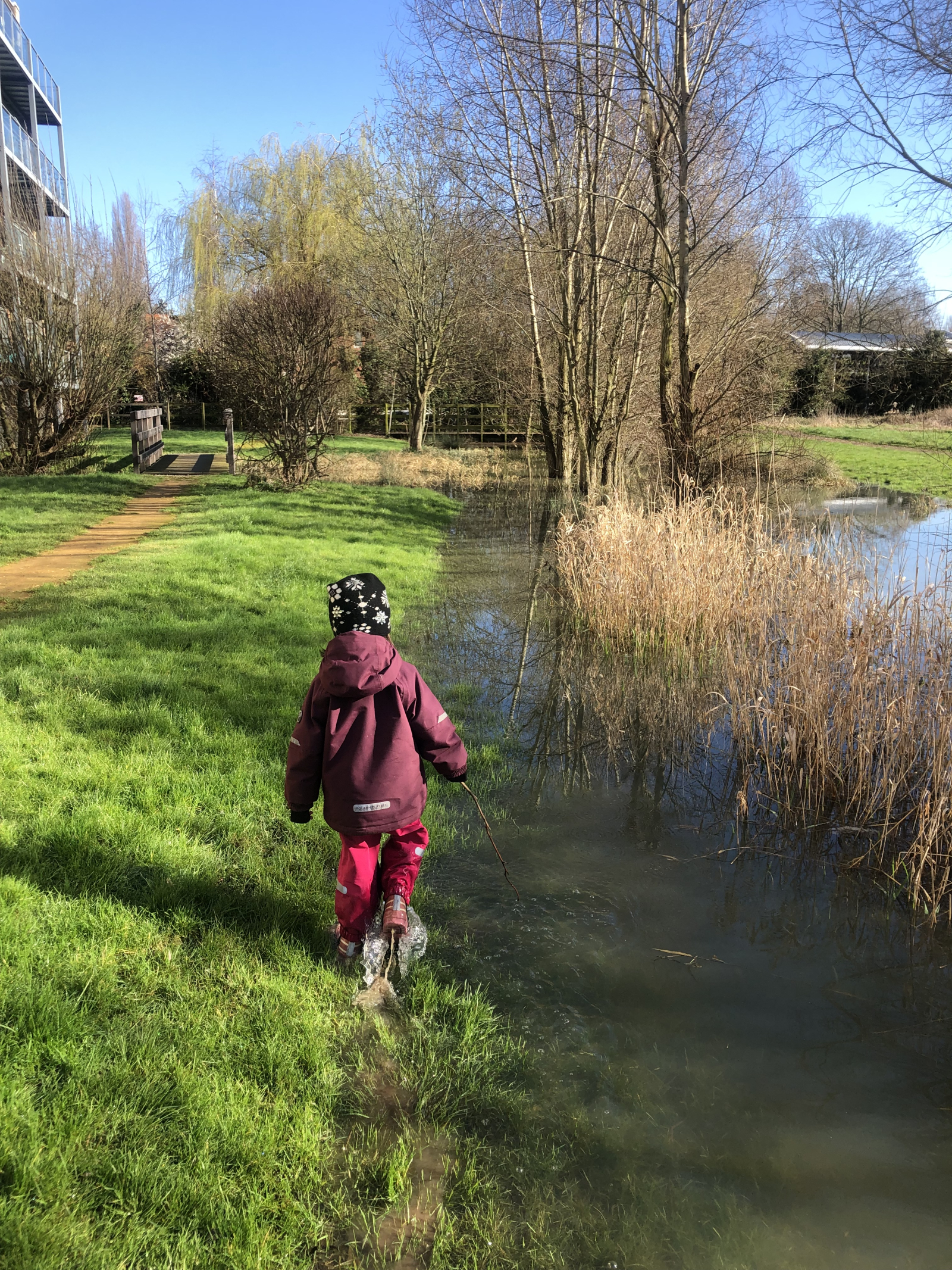 Stadthaus am Fluss bei Feuchtgebieten und Bootshäusern – malerisches Cambridge