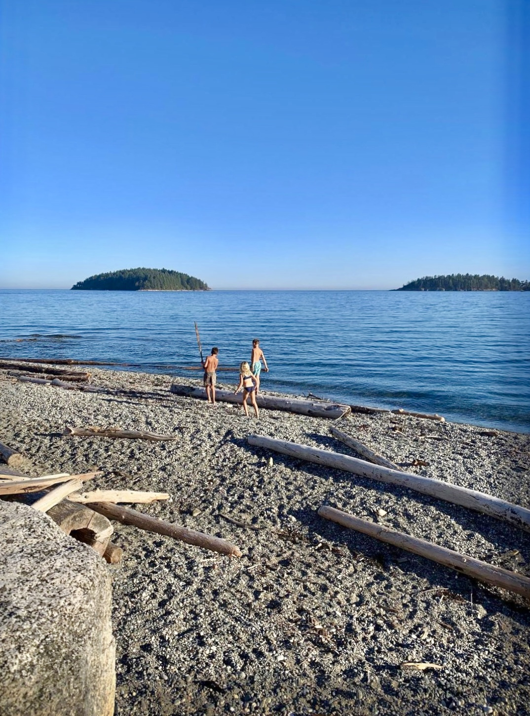 Explore the shoreline of logs, driftwood, pebbles and sea glass treasures that's constantly changing ...