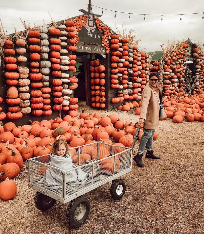 SOooOo many pumpkin patches and fall attractions. You really couldn't do it all around here, but you ...