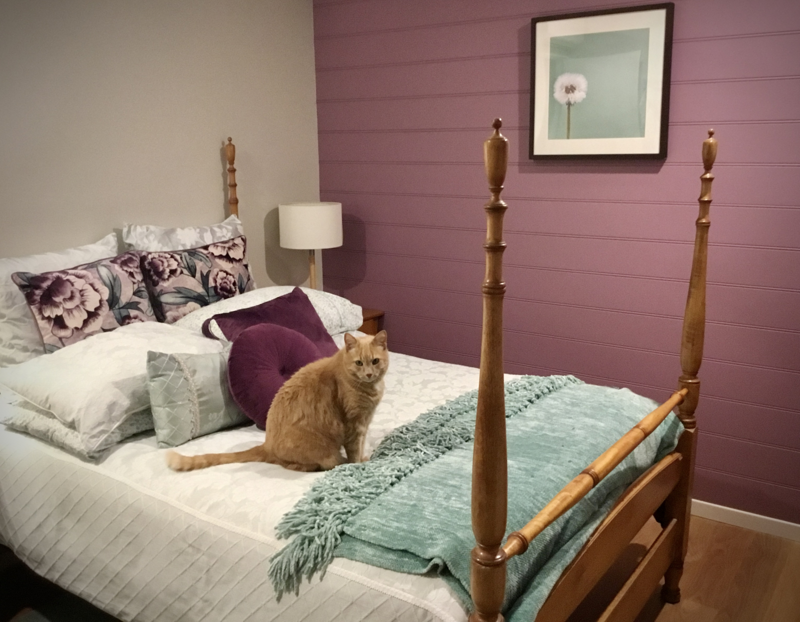 Different cat…looks the same, just smaller and not so smart.