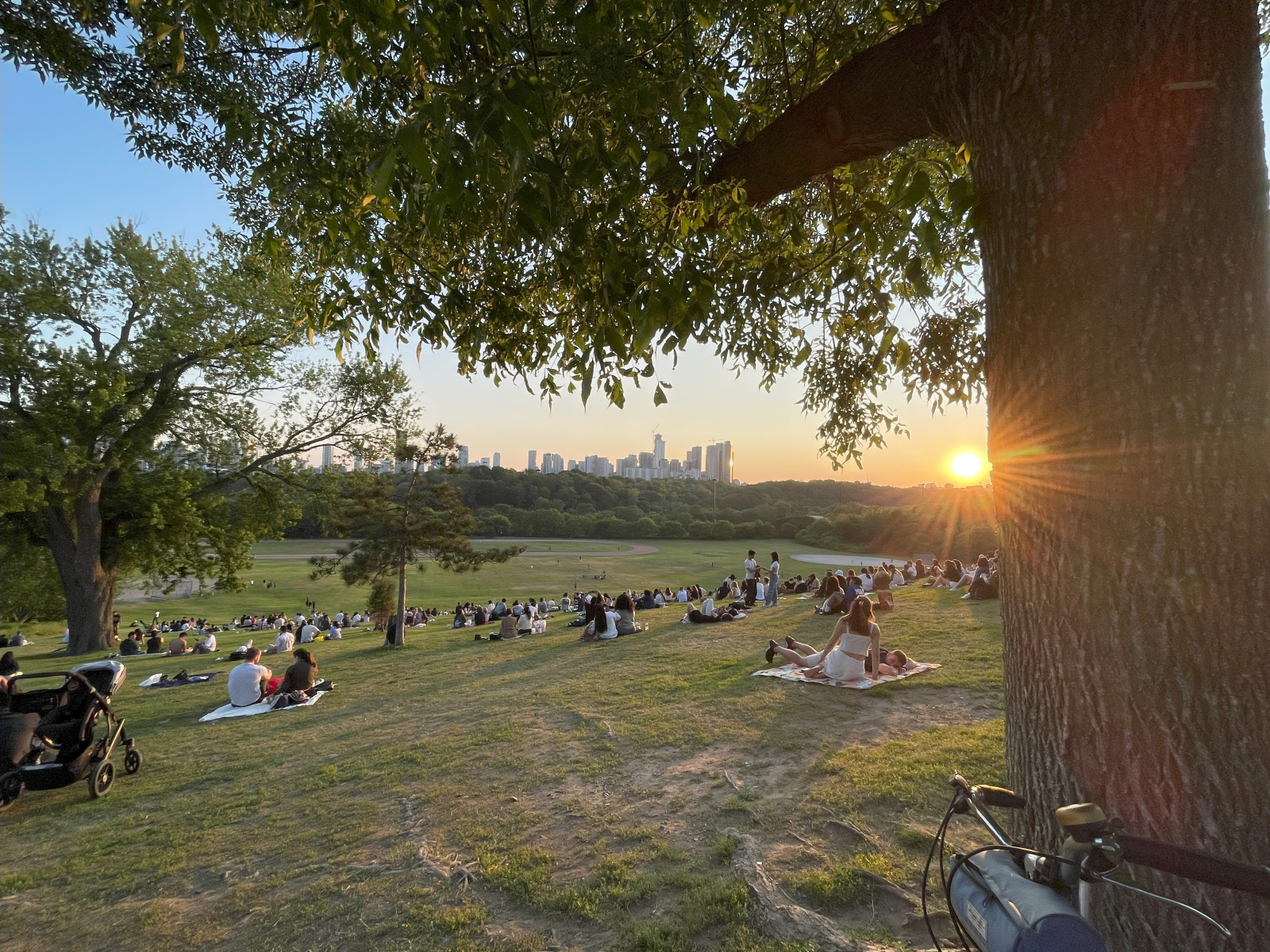 Sunset overe the city in Riverdale Park East. 10 min walk.
