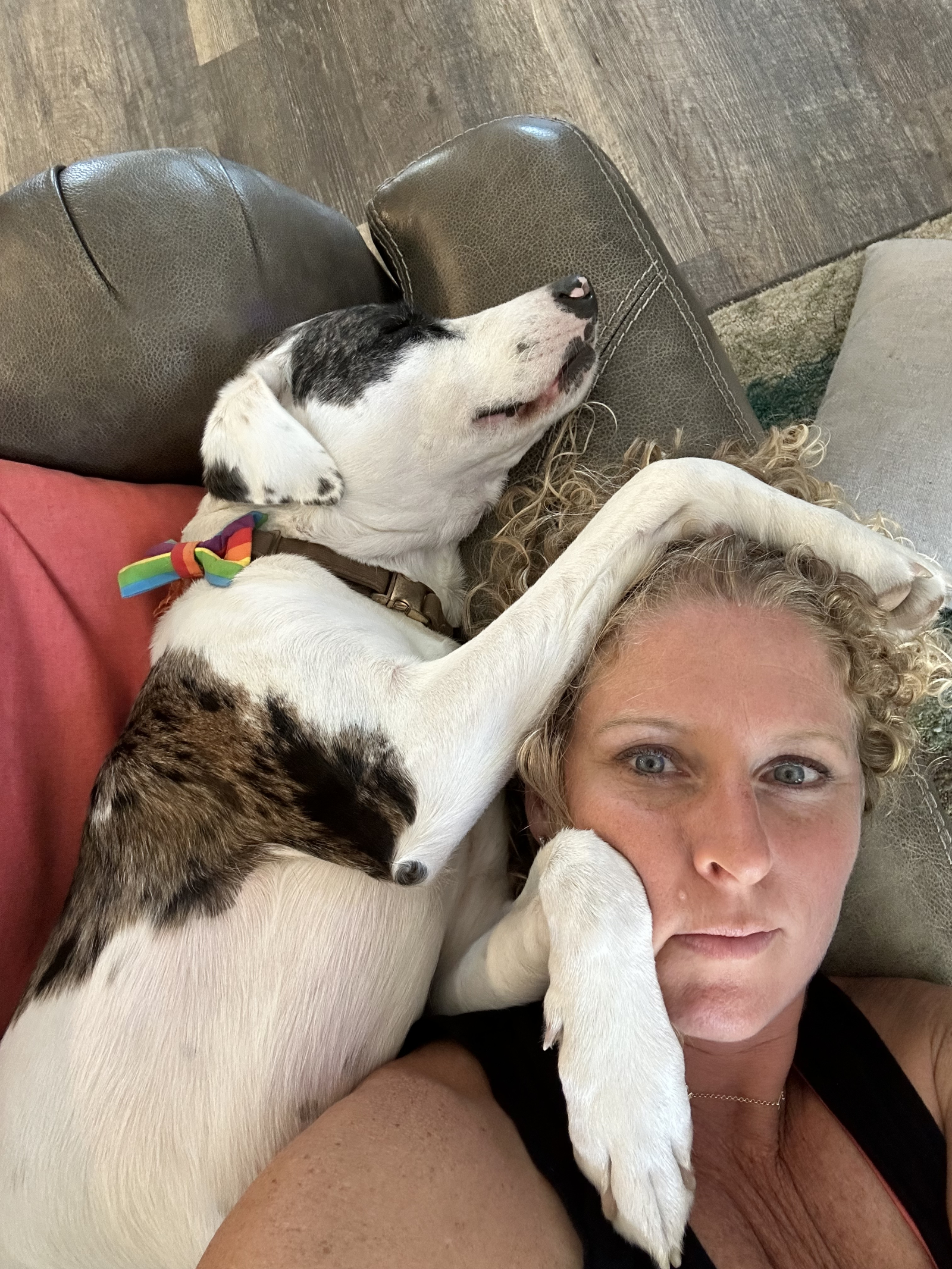 Did i mention he will be your bff. He knows no personal space.