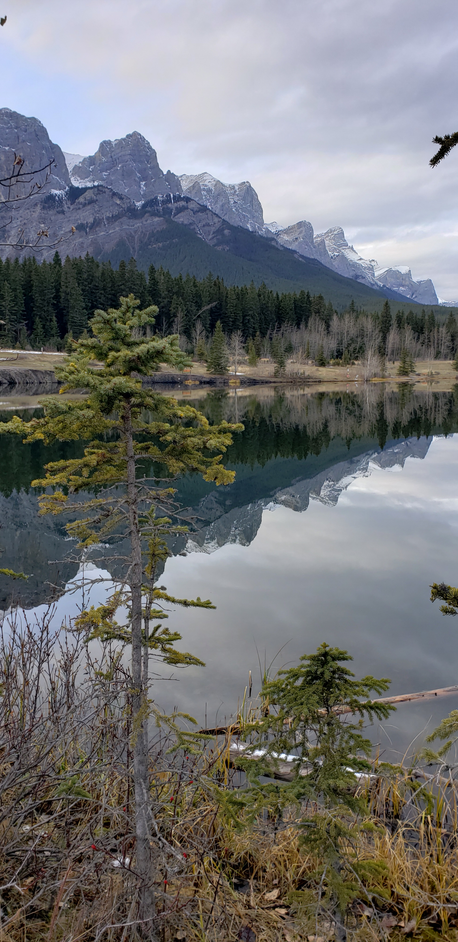 This beautiful spot is in Canmore, just a hour drive from our house.