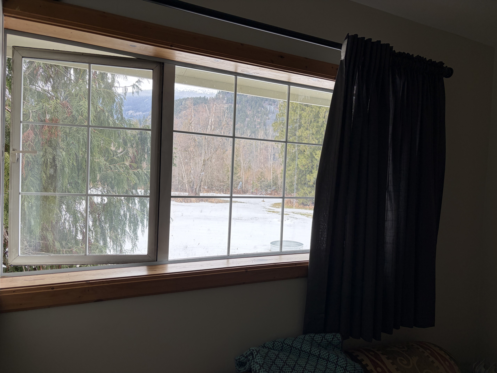 Cozy Pemberton Cabin on 5 Acres