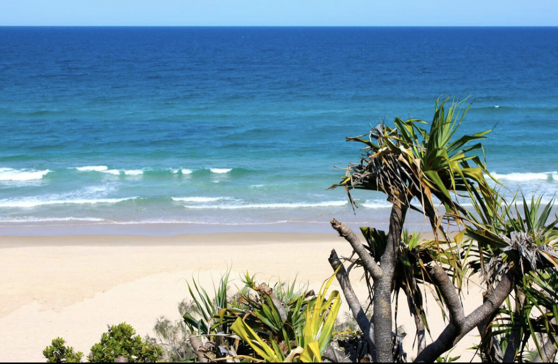 View from the Sunshine Beach surf club - overlooking the Coral Sea