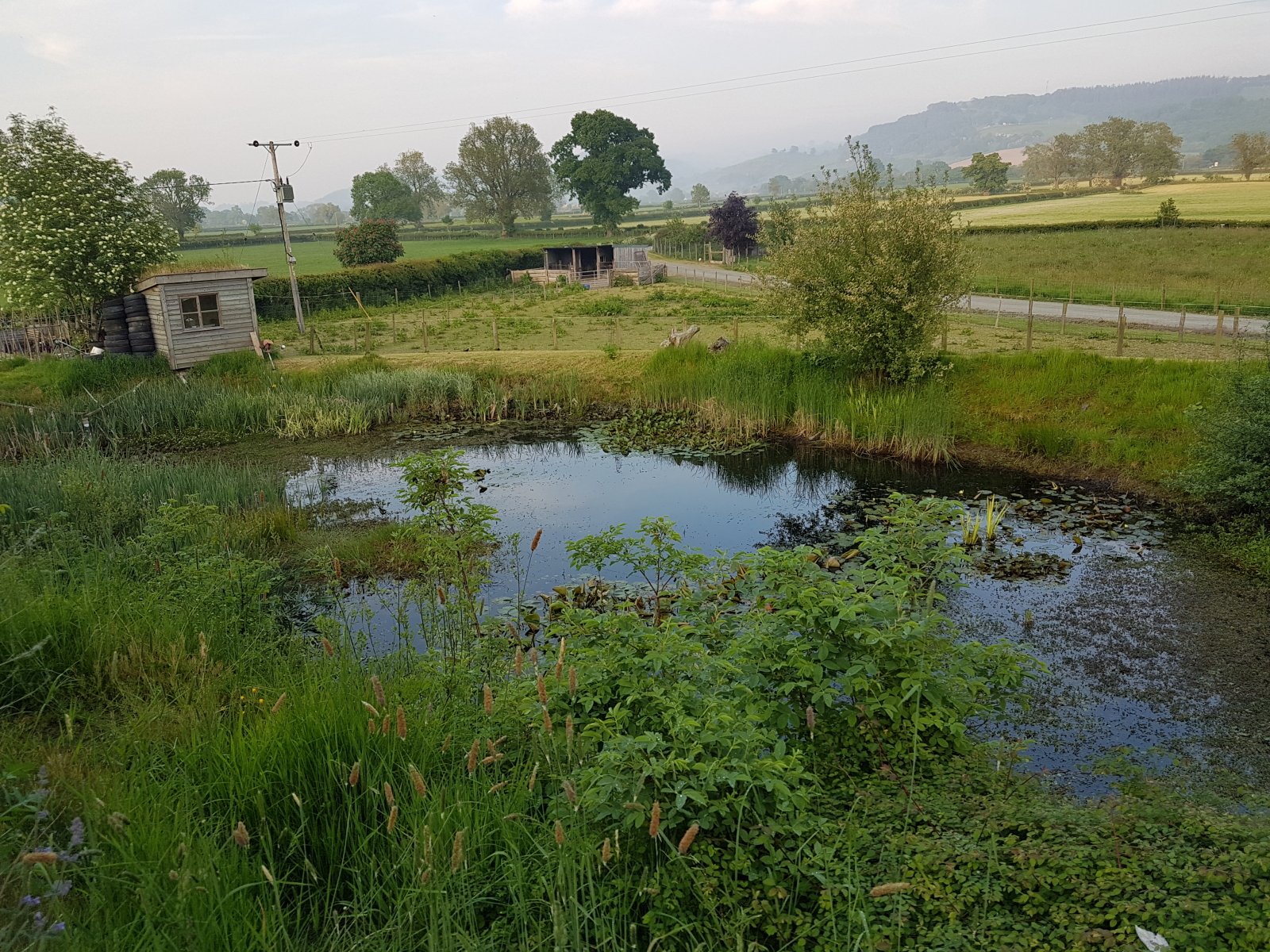 O lago em frente à casa