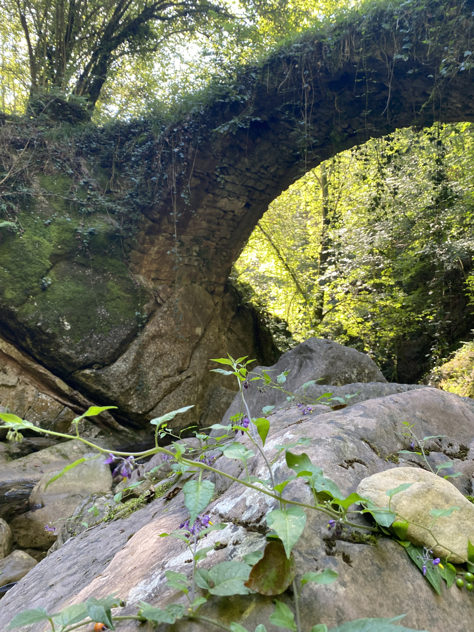 Cataluña, a medio camino del volcán, con una vista preciosa de Olot y sus colinas circundantes.