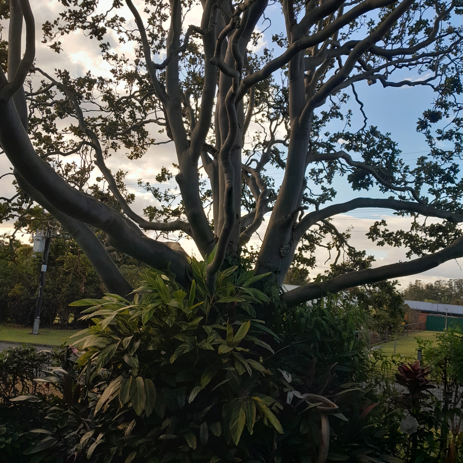 Atherton Tablelands near Cairns. Rainforests, lakes and waterfalls