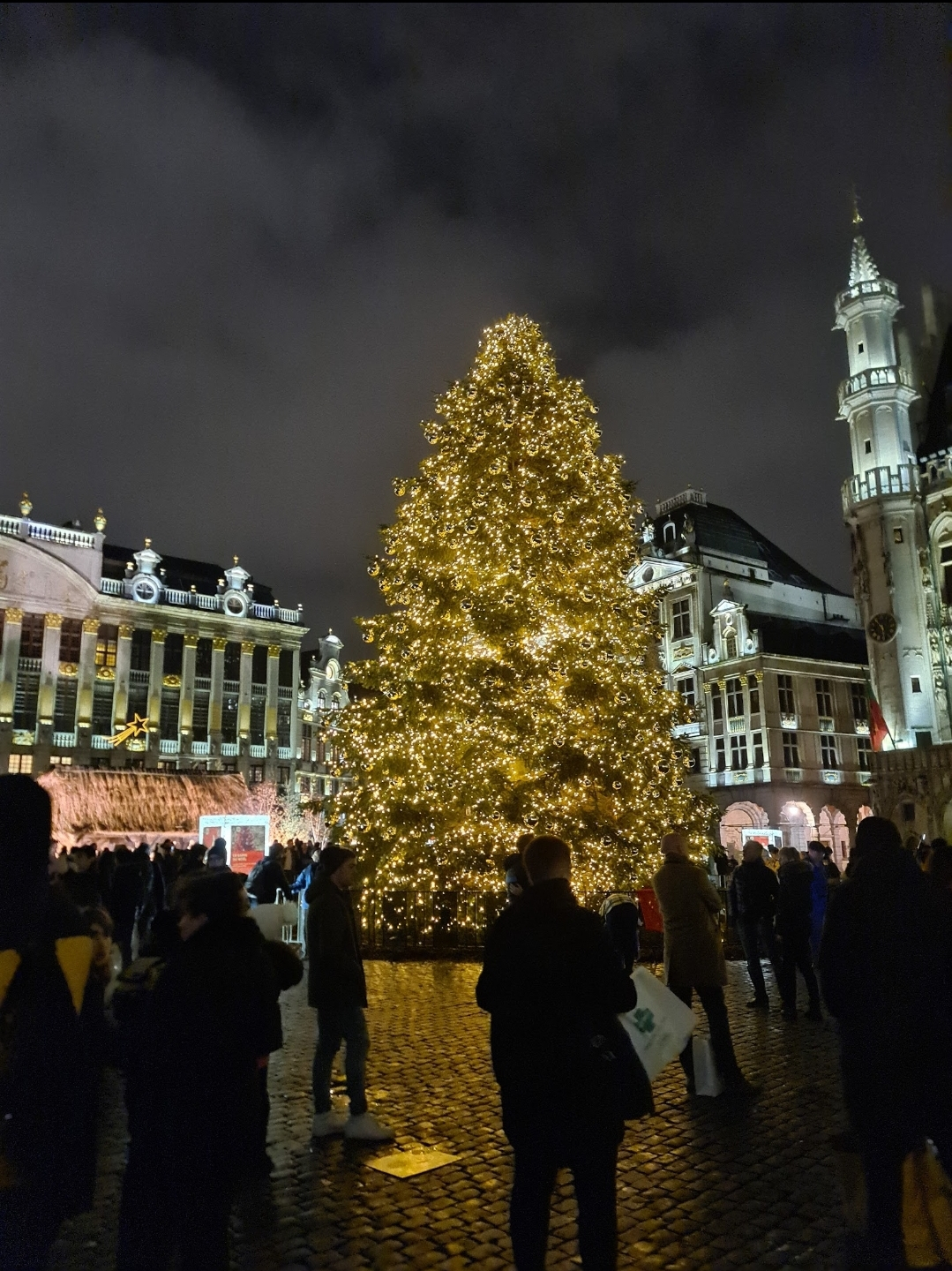 ¡Bruselas brilla en Navidad! 🎄 Pasea por la Grand Place, maravíllate con el árbol y empápate de la ...