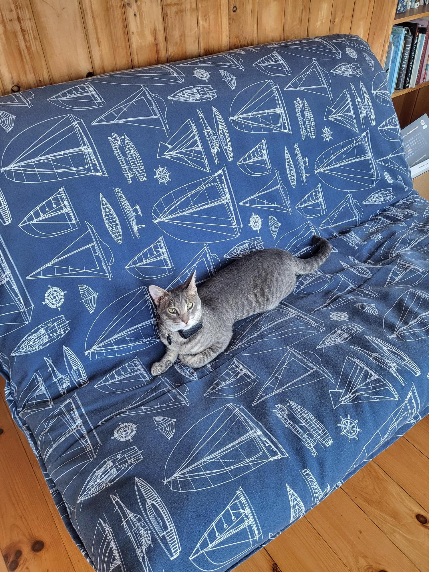 Our sweet cat, Wyatt Binx will likely be your host if we do a sim exchange. He loves to snuggle!