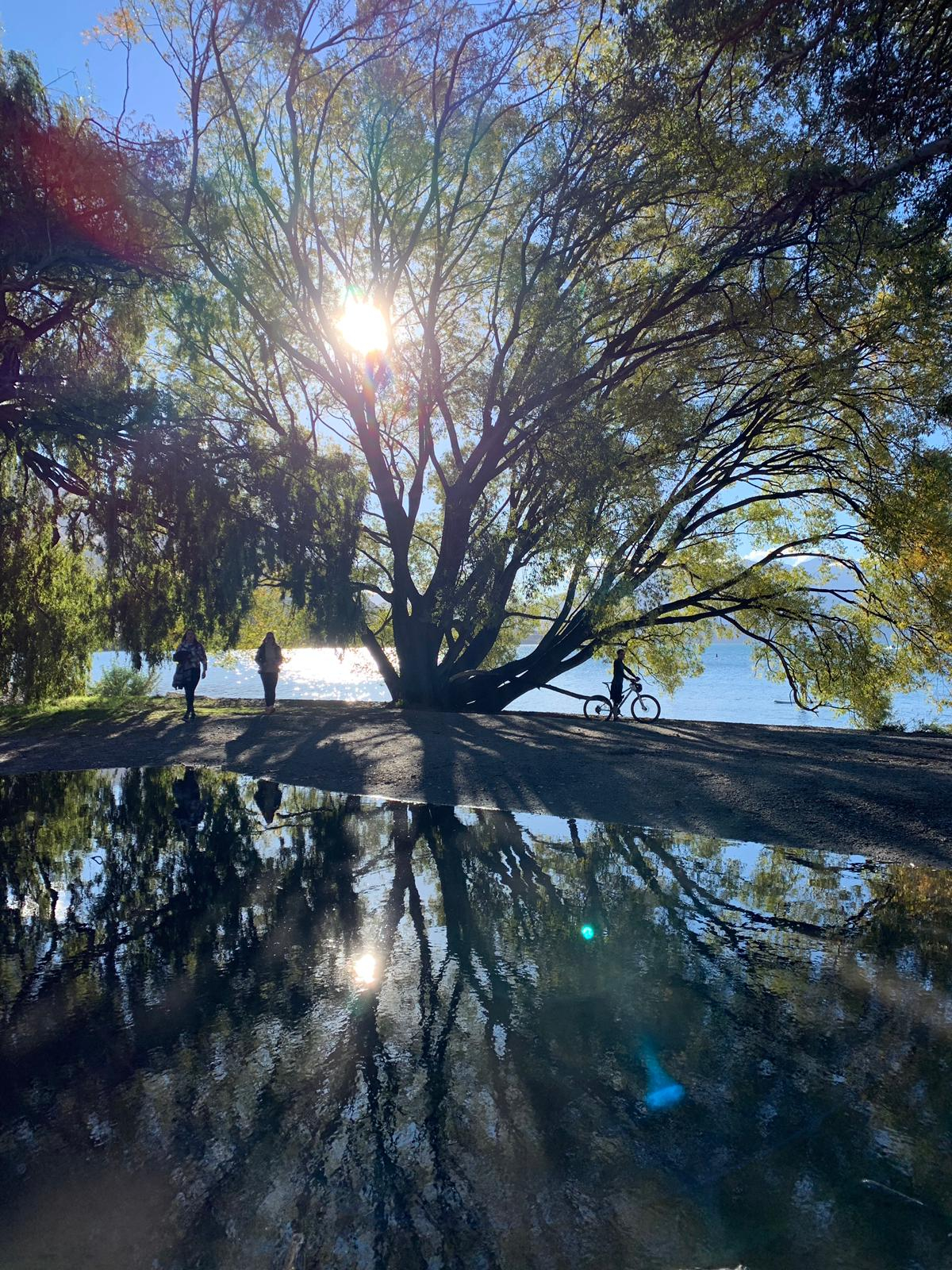 Wanaka ist fabelhaft zum Radfahren. Alle Niveaus!