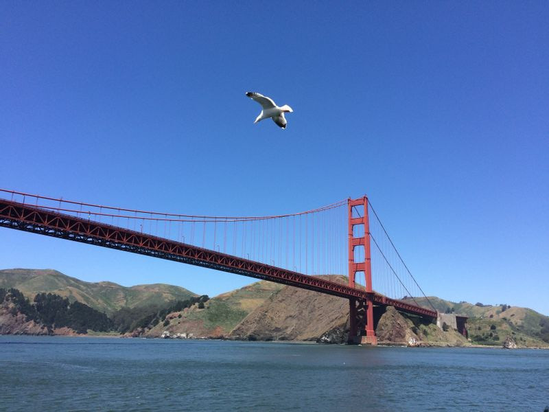 Willkommen in der San Francisco Bay Area! Wir wohnen nur eine kurze 20-minütige BART-Zugfahrt von de ...