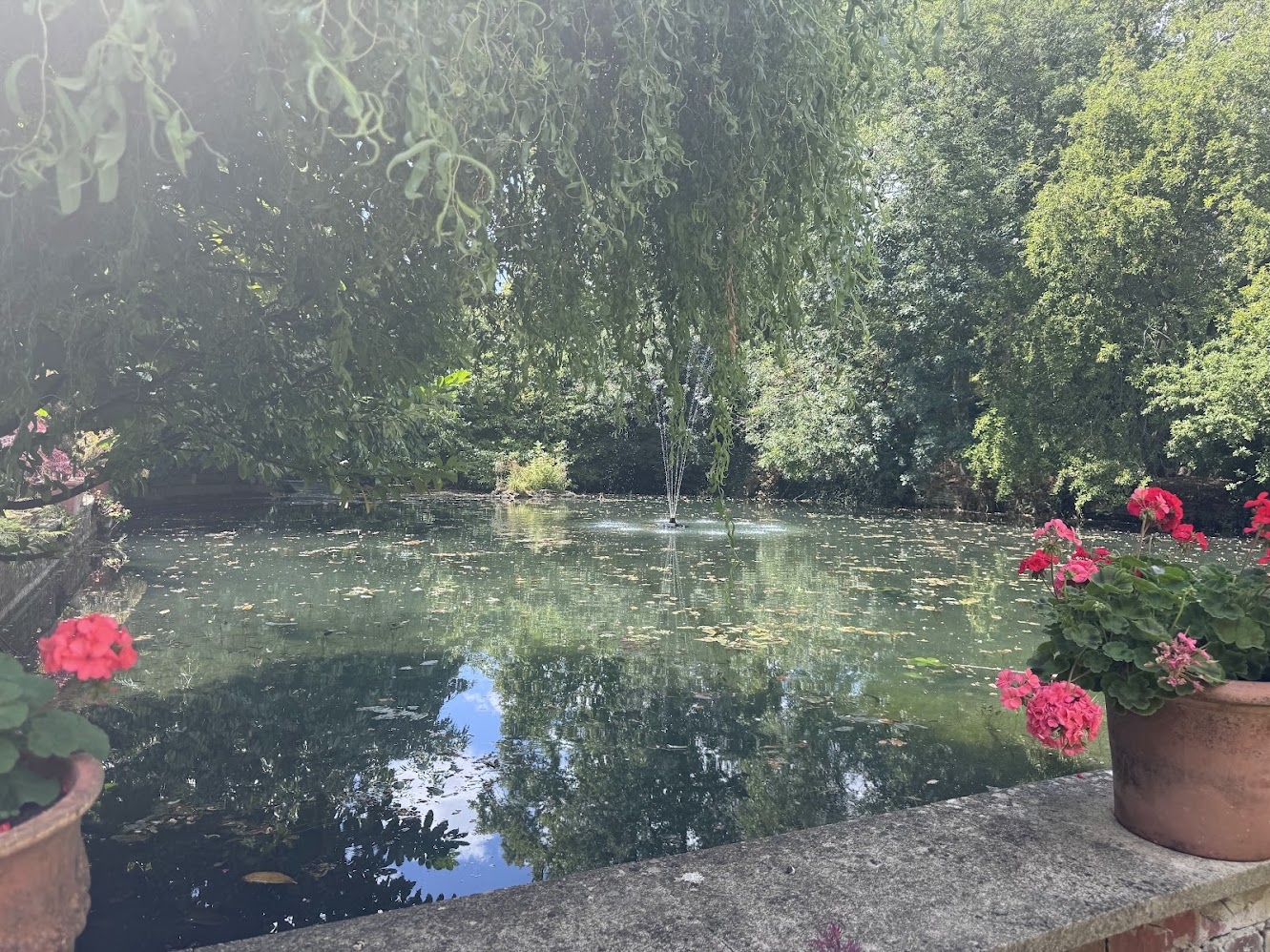 The large Mill Pond straight outside the front door.