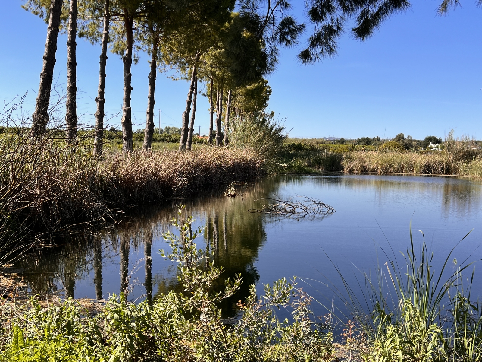 Super emplacement, vue organique, piscine privée chauffée en eau salée, rez-de-chaussée
