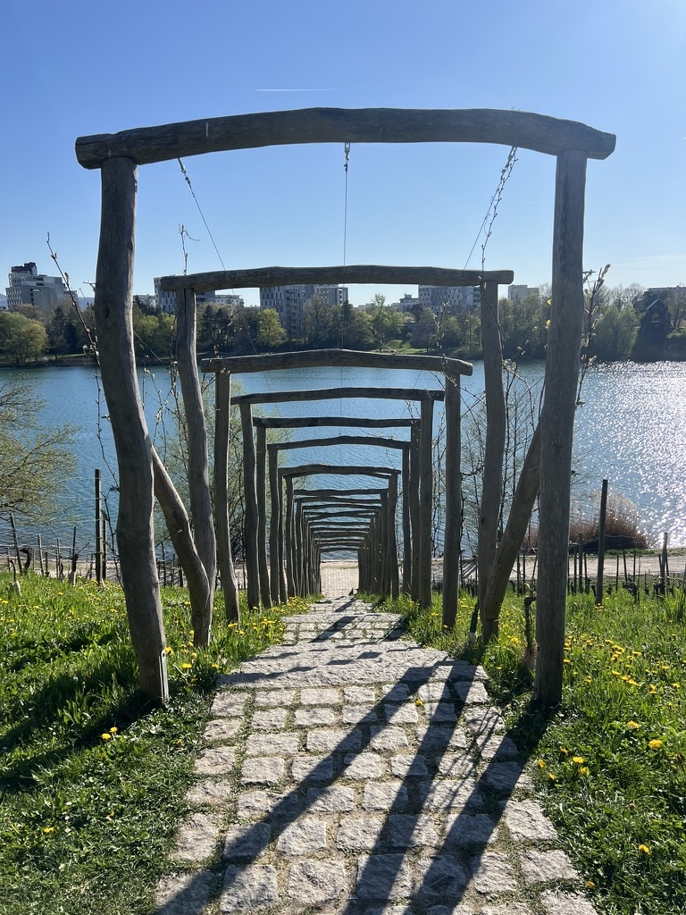 Ein Schwimmsee 10 Minuten von unserem Haus entfernt