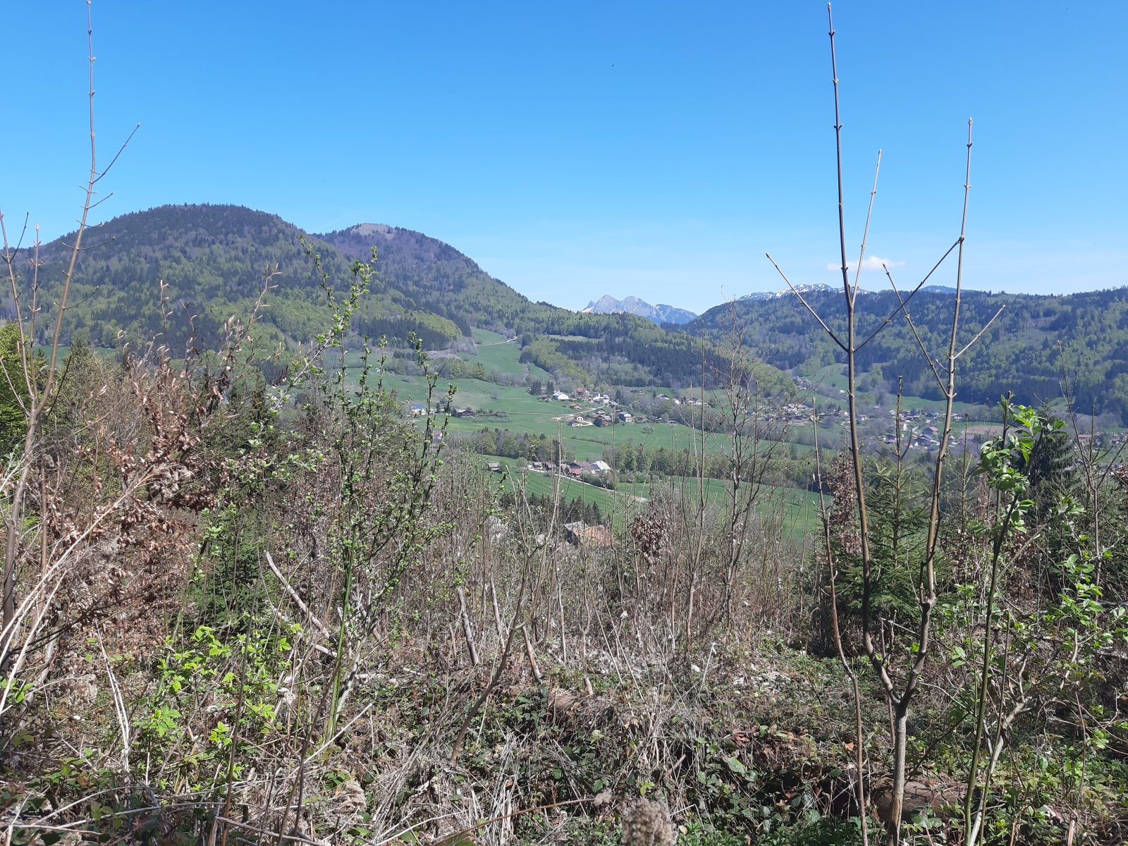 La "Green Valley" in primavera.