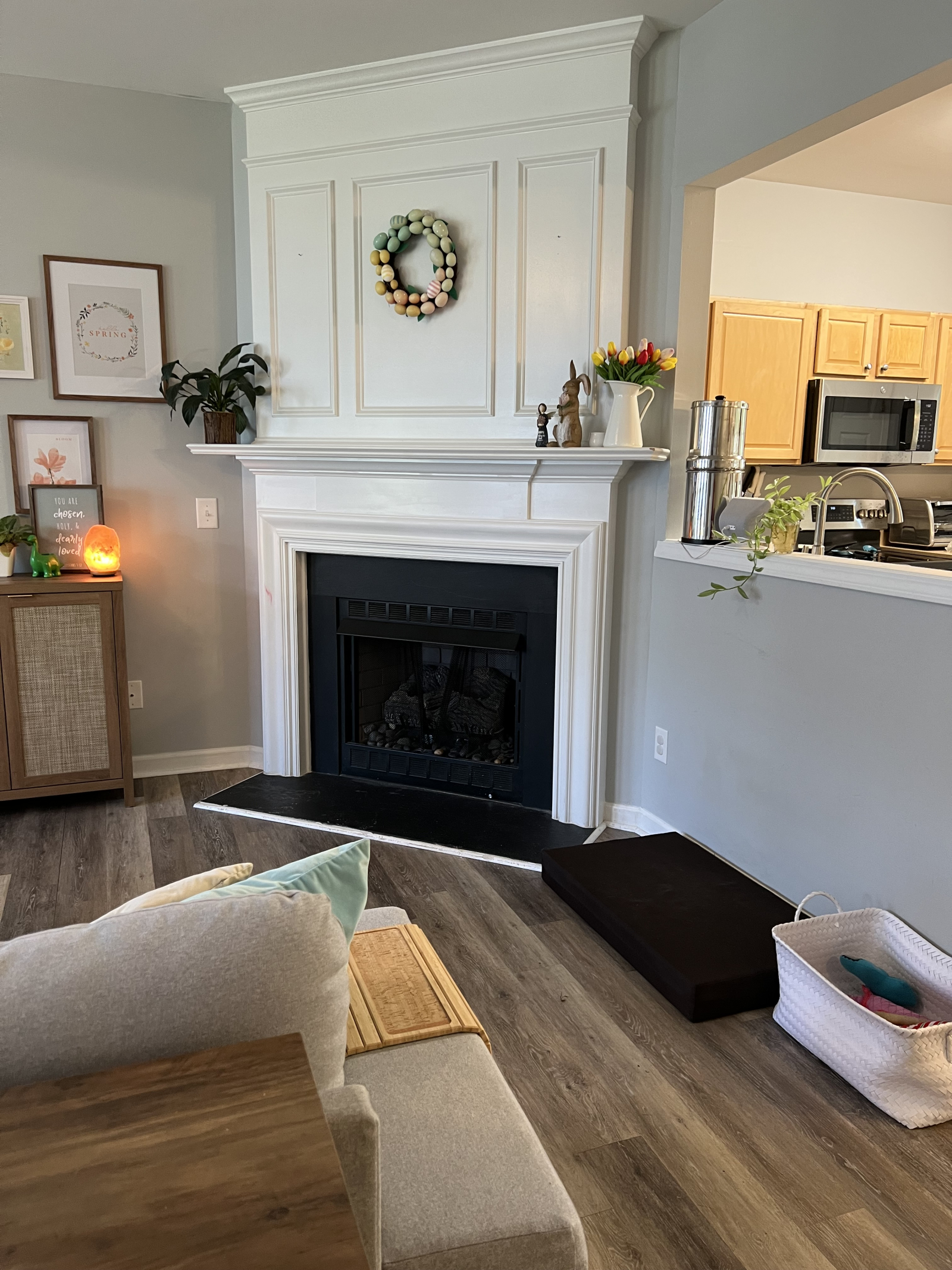 Gas fireplace plus dog bed and dog toy basket