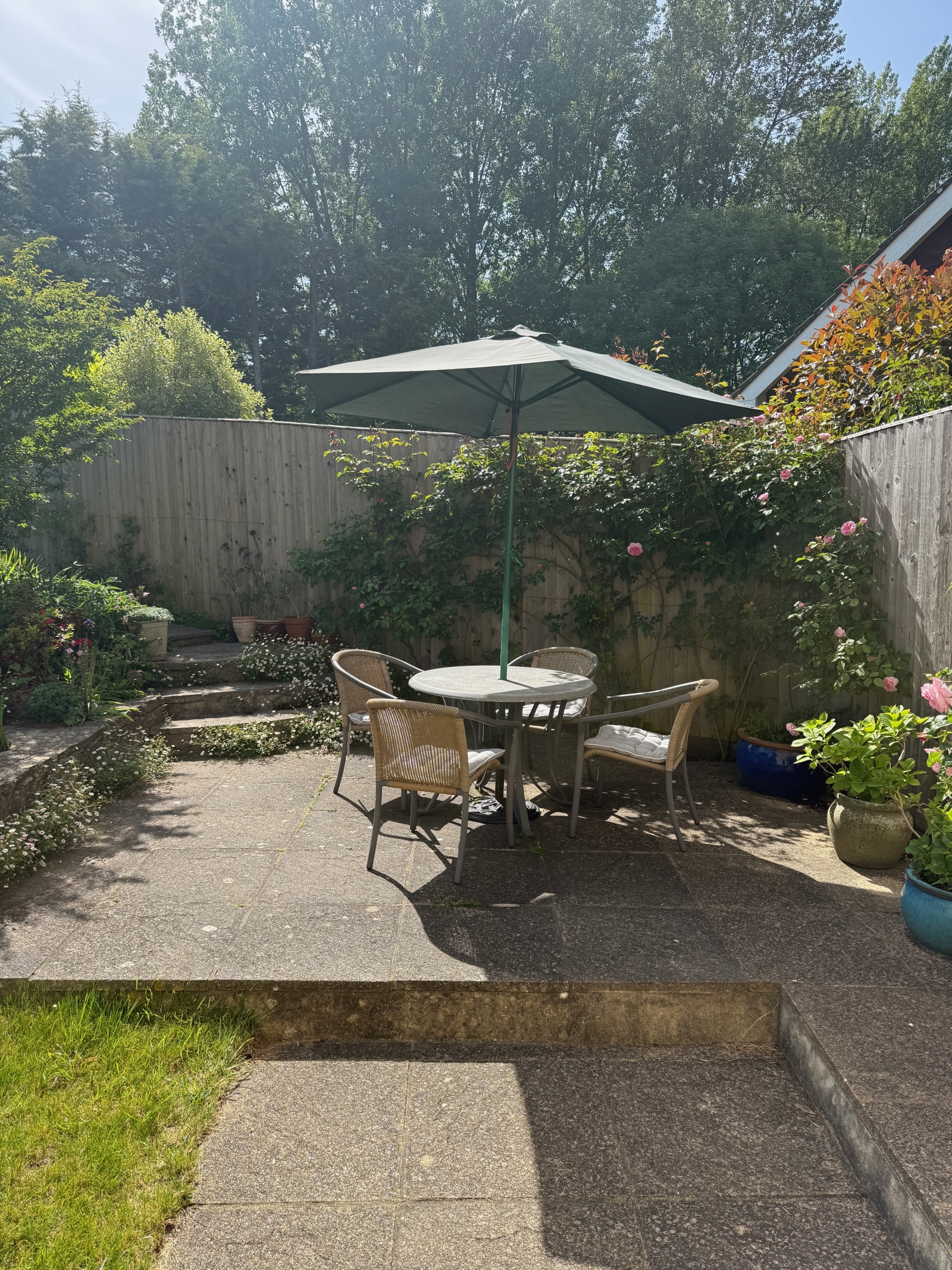 Detached house in wonderful Dorset countryside