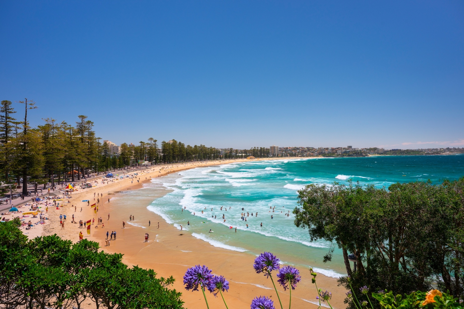 Northern Beaches Family Home - Bush, Beaches & Lagoon on Sydney's Doorstep