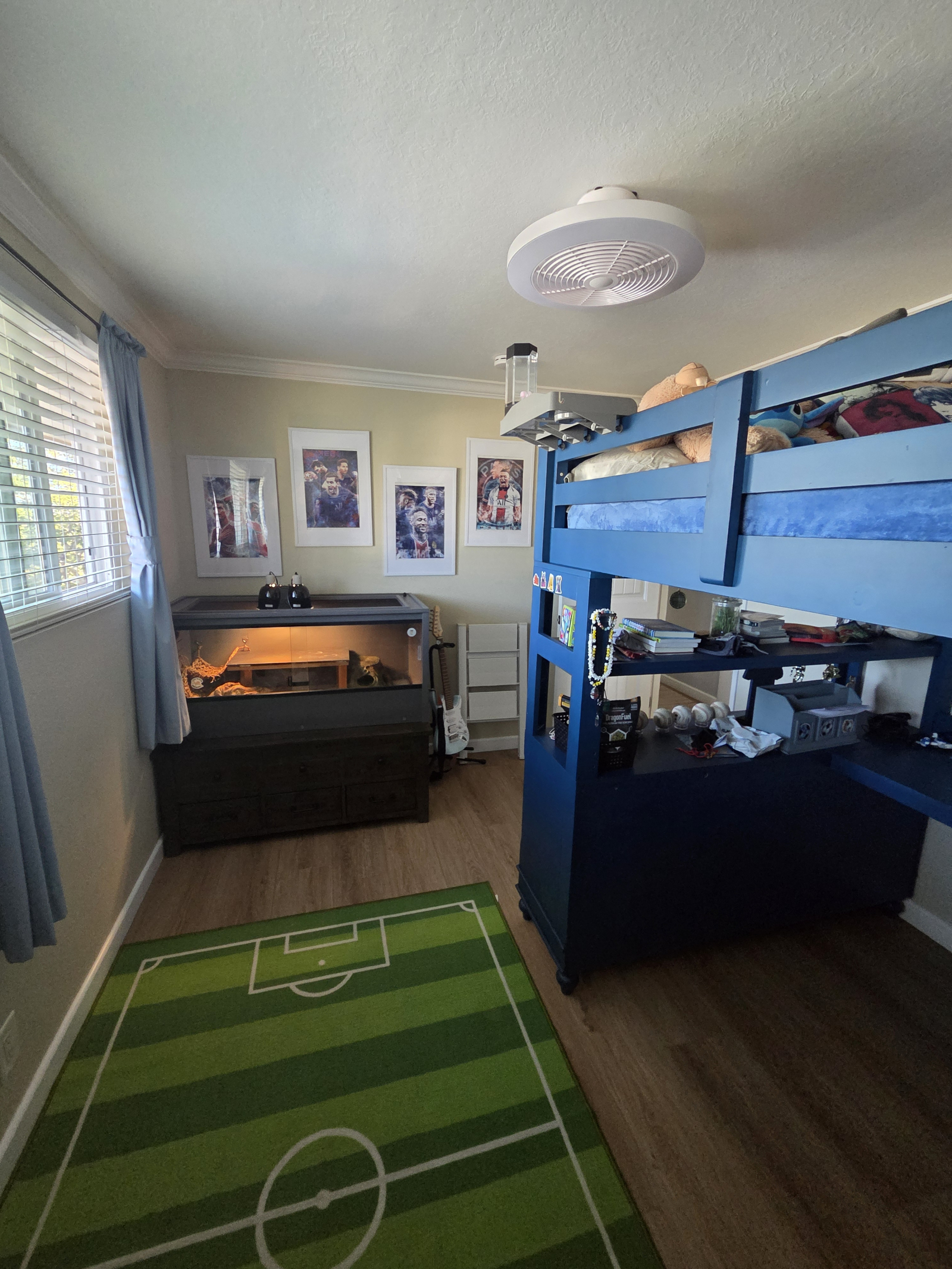 Dragão barbudo amigável :)