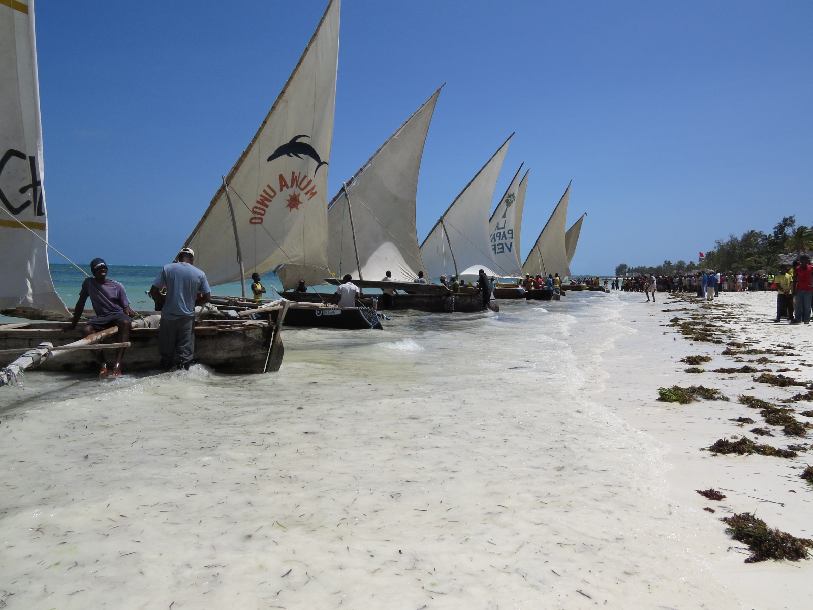 Zanzibar- dog incl. in 3 bedroom house on Zanzibar- 200 m from a  beautiful beach.