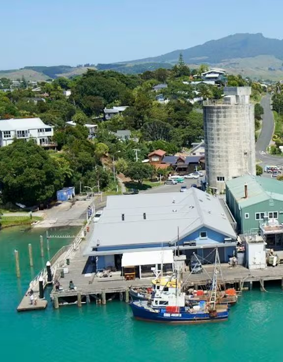 The Raglan Wharf - great fish n chip shop on the corner, Tony Sly Pottery shop behind