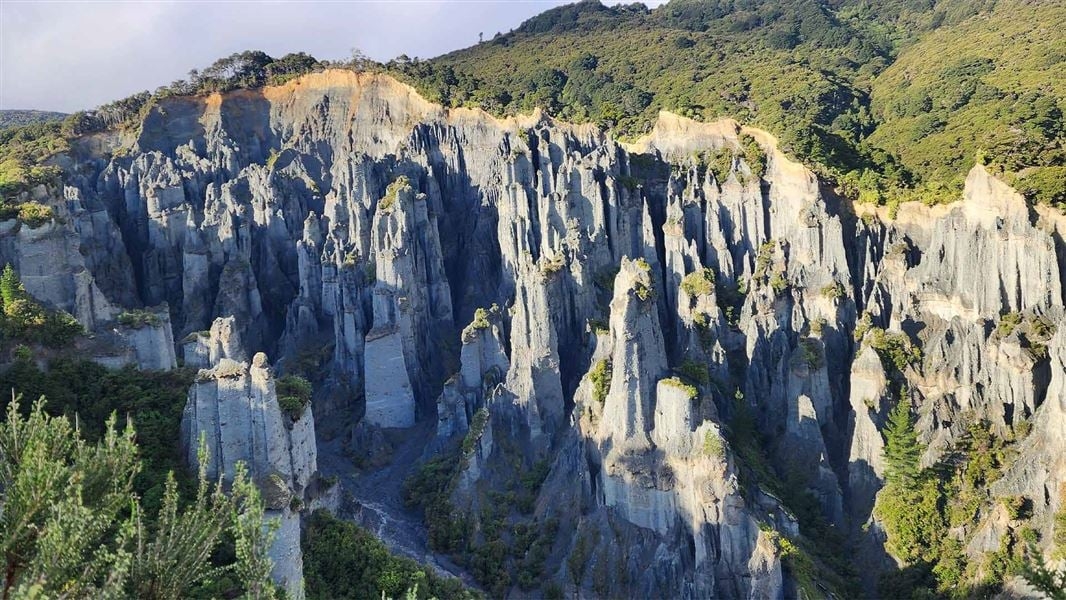 Rijd naar Cape Palliser naar de rotsformaties van de putangirua-pieken.