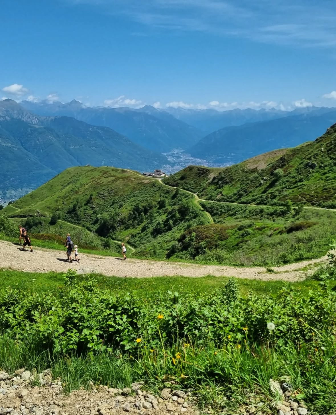 Monte Tamaro
https://www.montetamaro.ch/en/