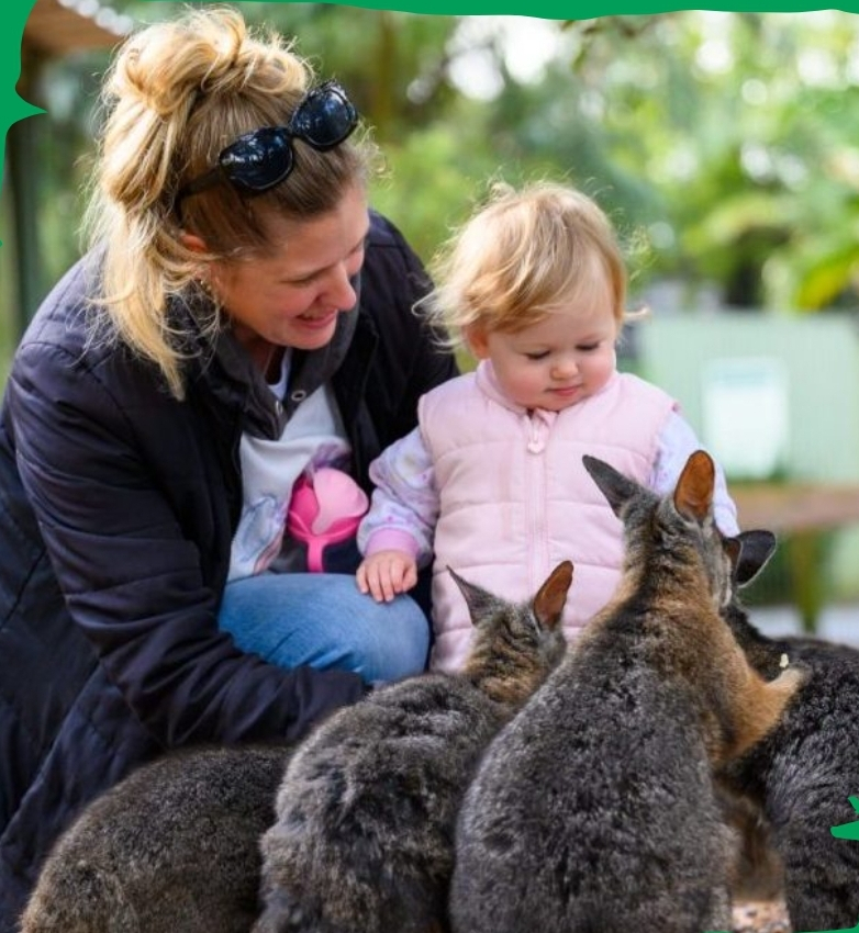 Rapprochez-vous et intimement avec les animaux australiens.
Photo pour le site de Featherdale.