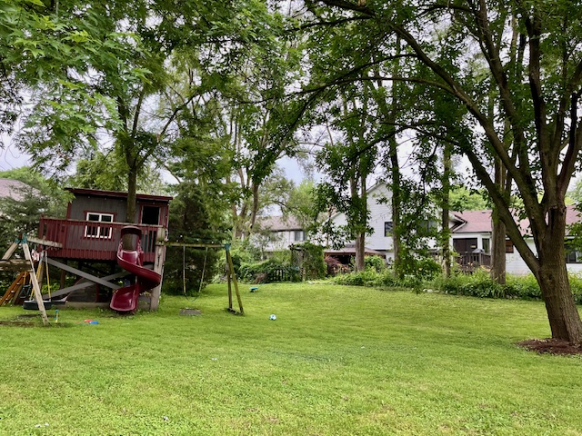 Back yard and view of house from back