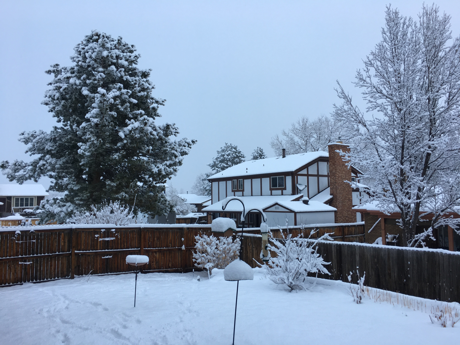 Notre cour arrière est privée et paisible pendant les mois frais d’hiver.  Denver reçoit généralemen ...