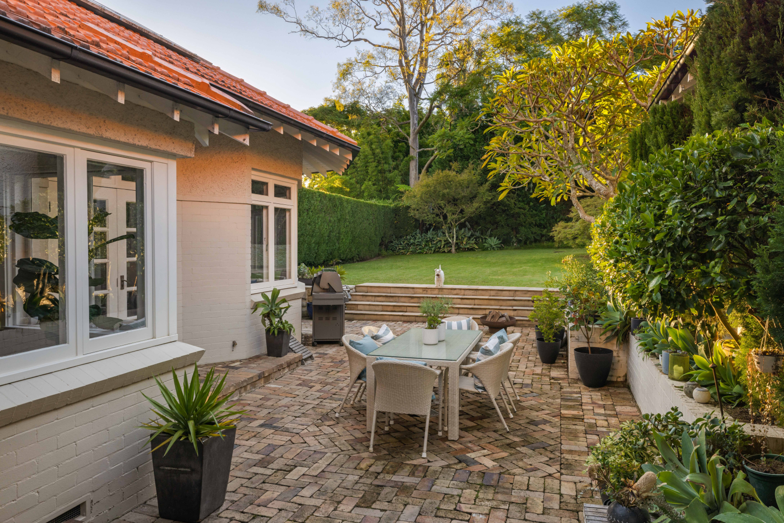 Weber BBQ, pátio ensolarado