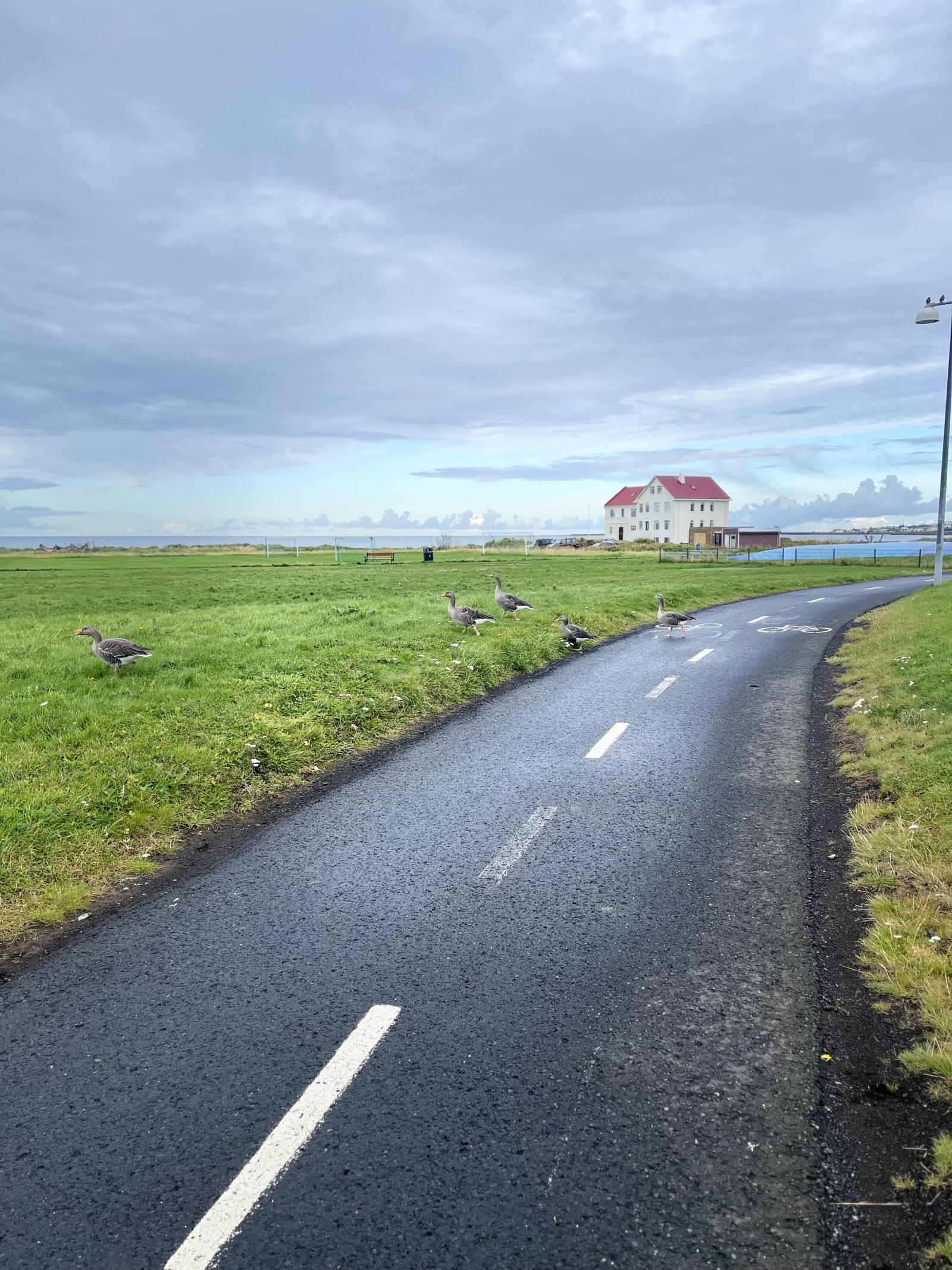 Walking trail by the ocean near our apartment