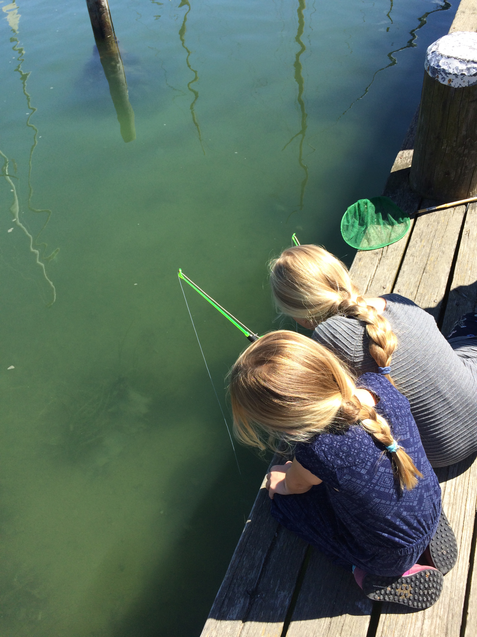 Pesca de cangrejos en el puerto de Nykøbing Sjælland.