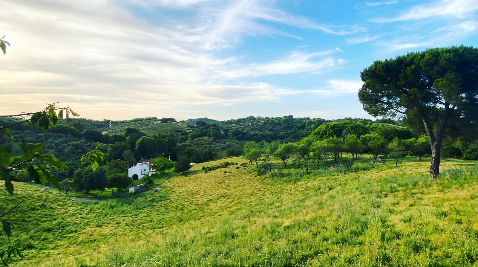 Country house in Andalusia