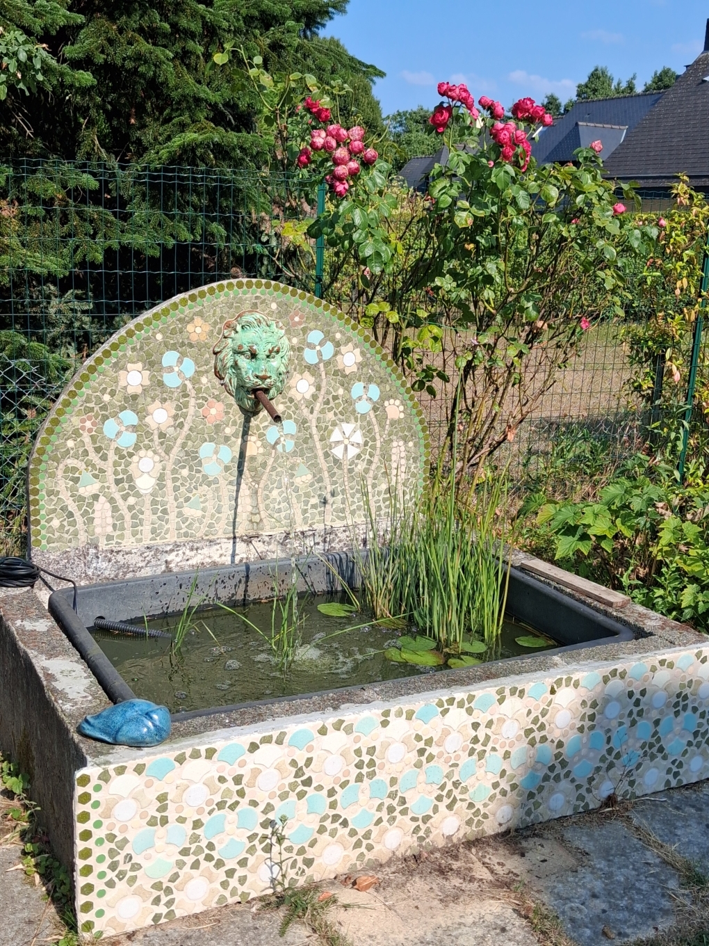 Our pool...