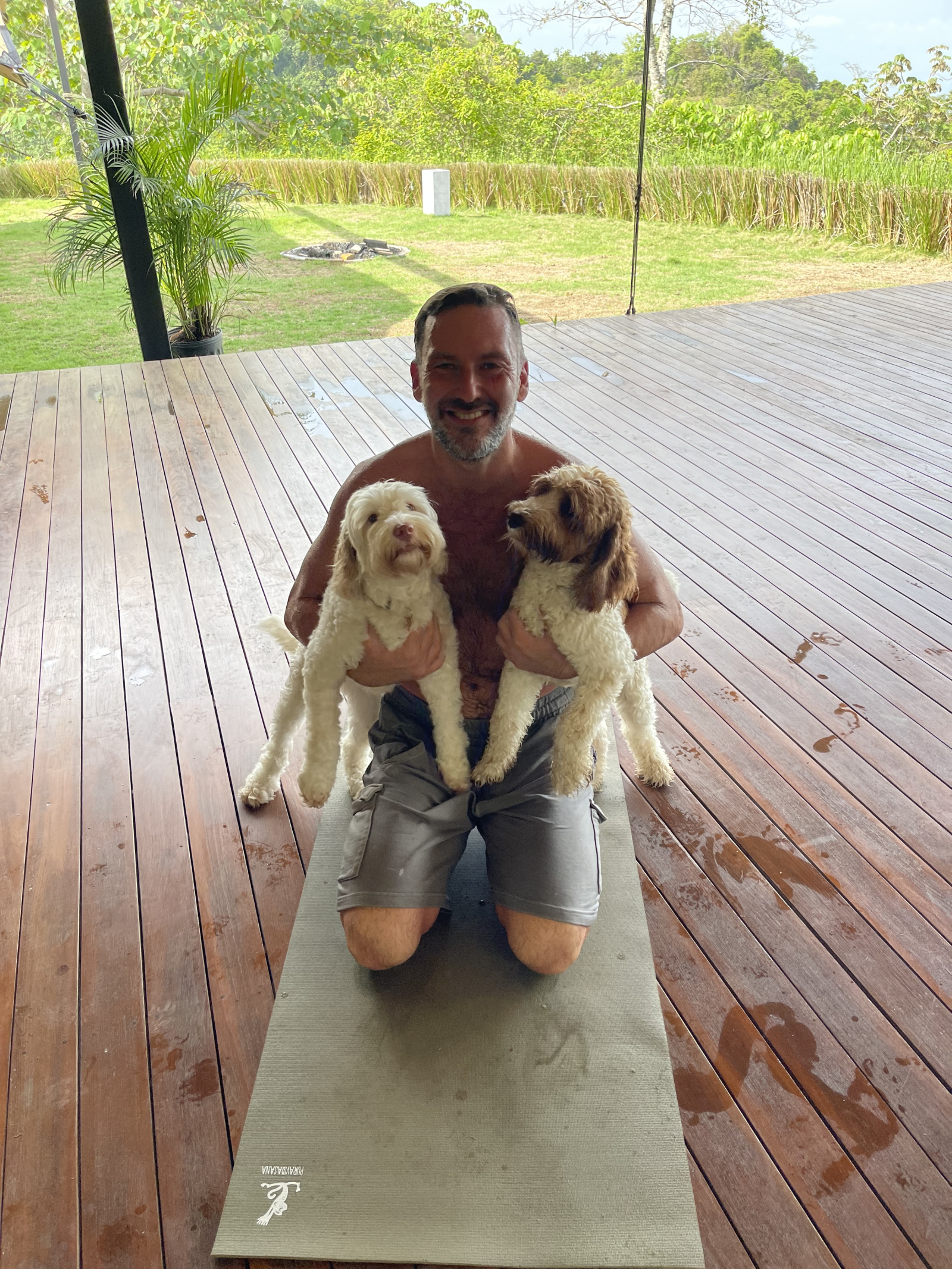 Un amor con esos labradoodles❤️