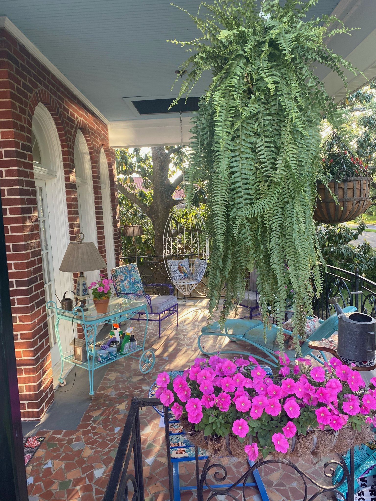 Willie’s Gentilly
