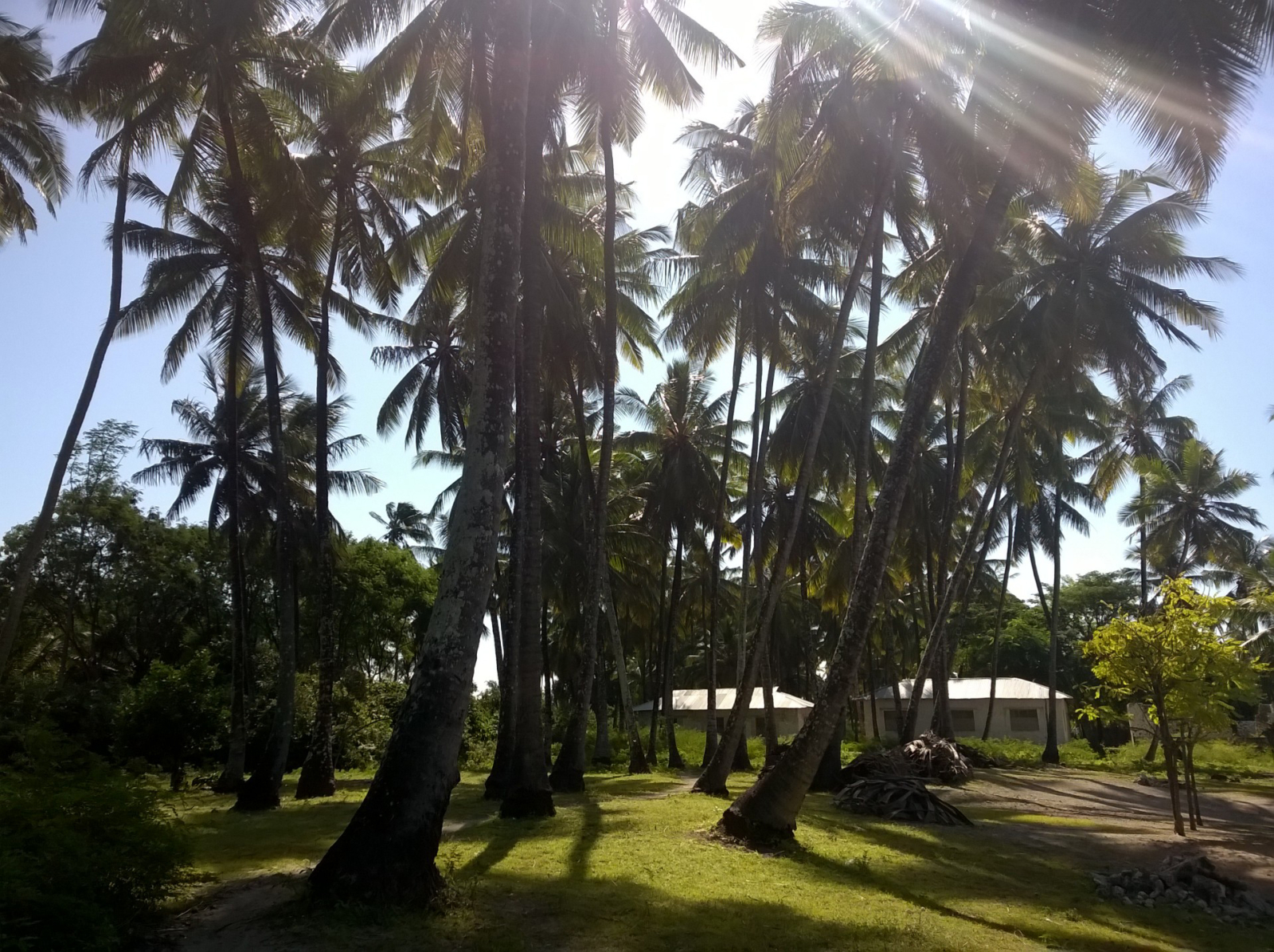 Jambiani village