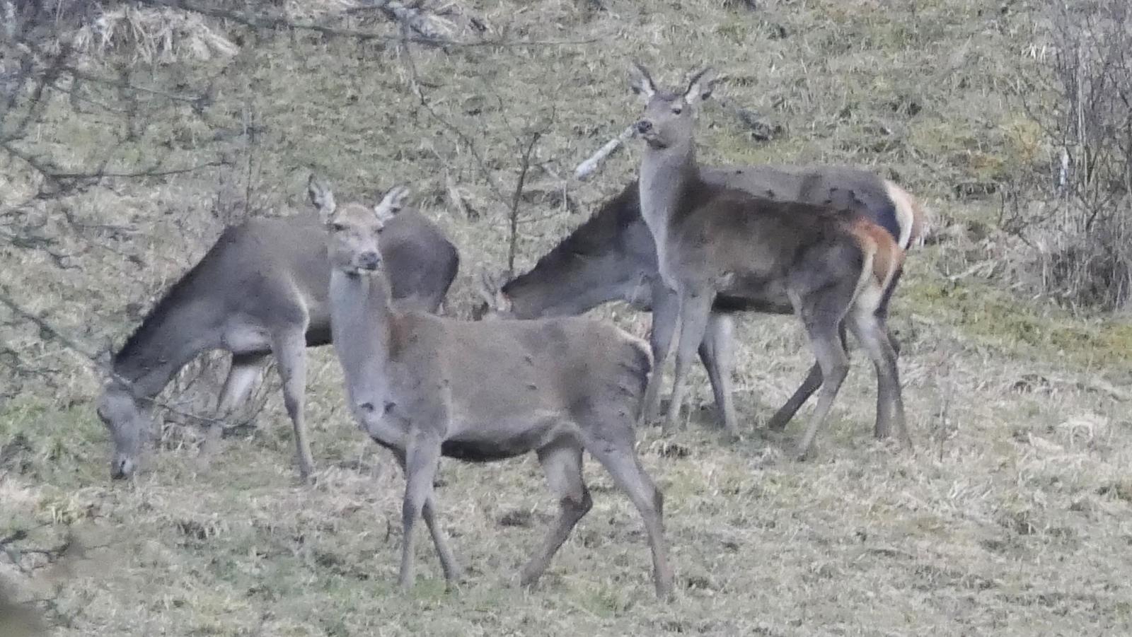 Biches views from the apartment...