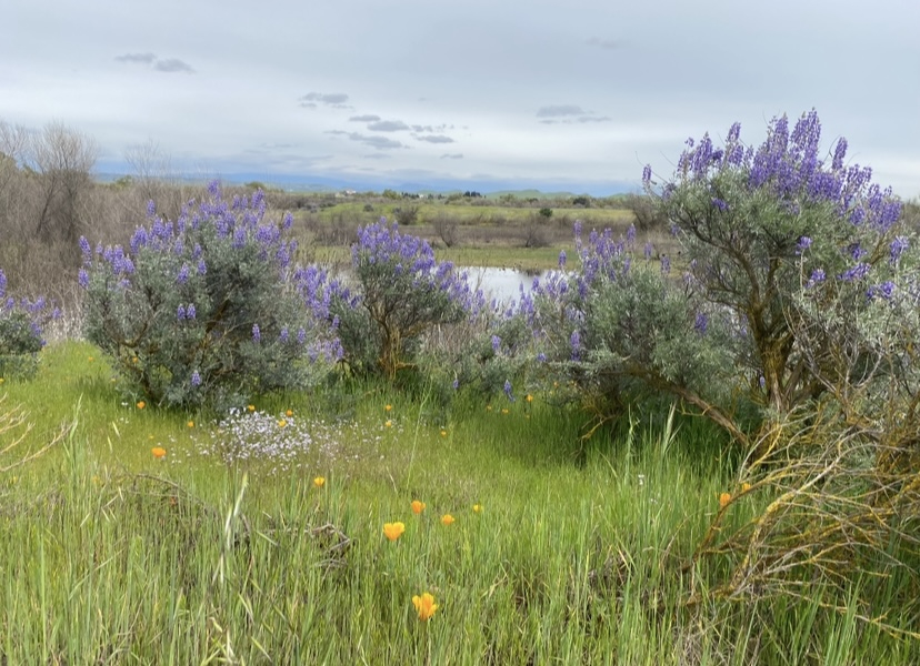 Trilha fora do rio Fresno-San Joaquin