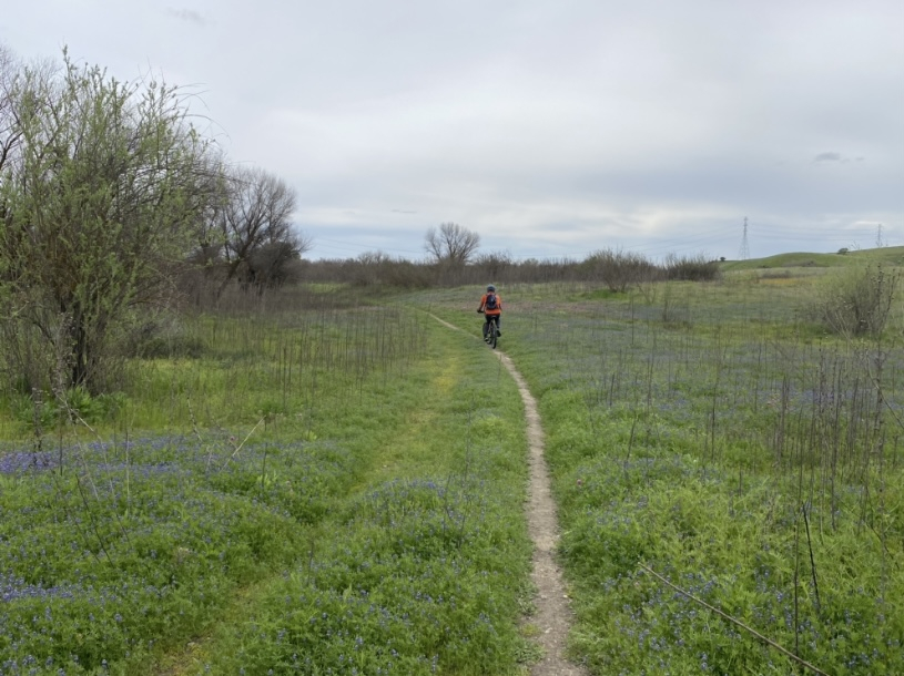 Trilha no rio San Joaquin, fora de Fresno